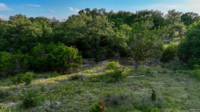 543 Narrows Rd, Home with 0 bedrooms, 0 bathrooms and null parking in Blanco TX | Image 24