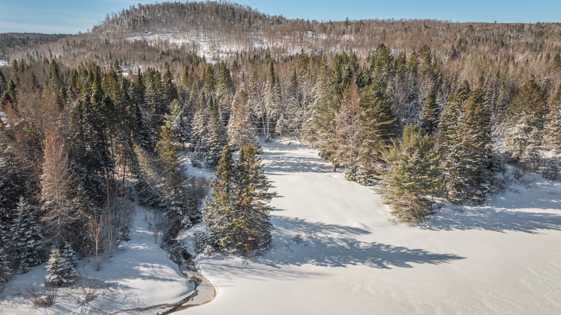 Land in Sainte-Marguerite-du-Lac-Masson 5