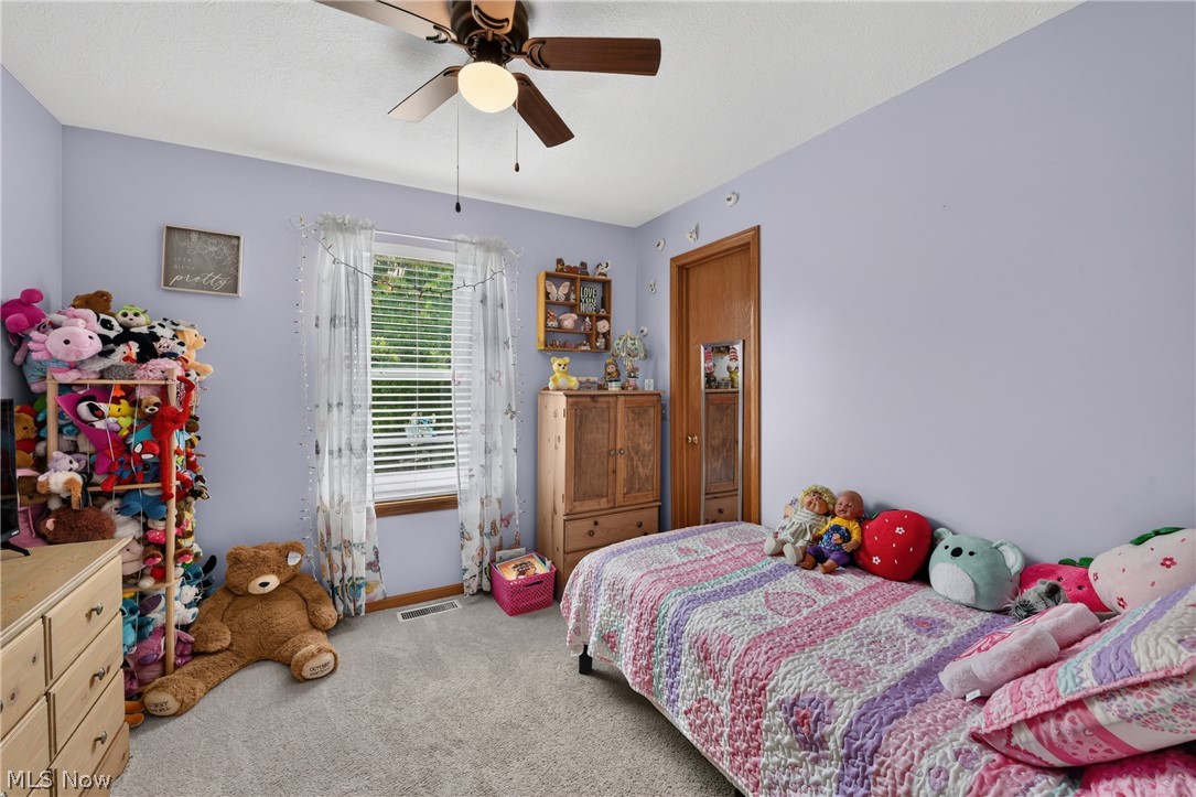 Residential in Chippewa Lake 4