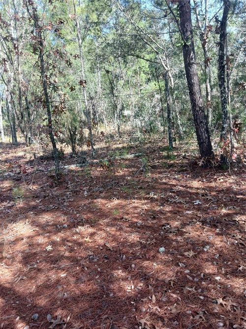 LOT 11 Lake Lucy Circle, Interlachen, FL, 32148 | Card Image