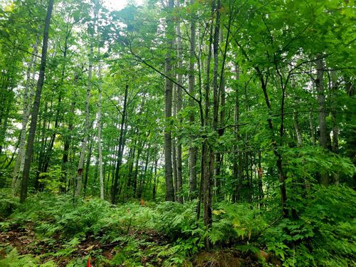 87265 Eagle Bluff Dr, Bayfield, WI, 54814 | Card Image