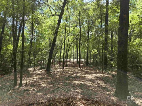1131 Wolf Log Rd, Flomaton, AL, 36441-3635 | Card Image