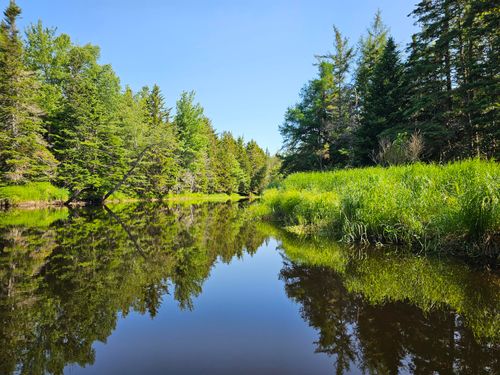 49 Meeting House Road, Columbia, ME, 04623 | Card Image