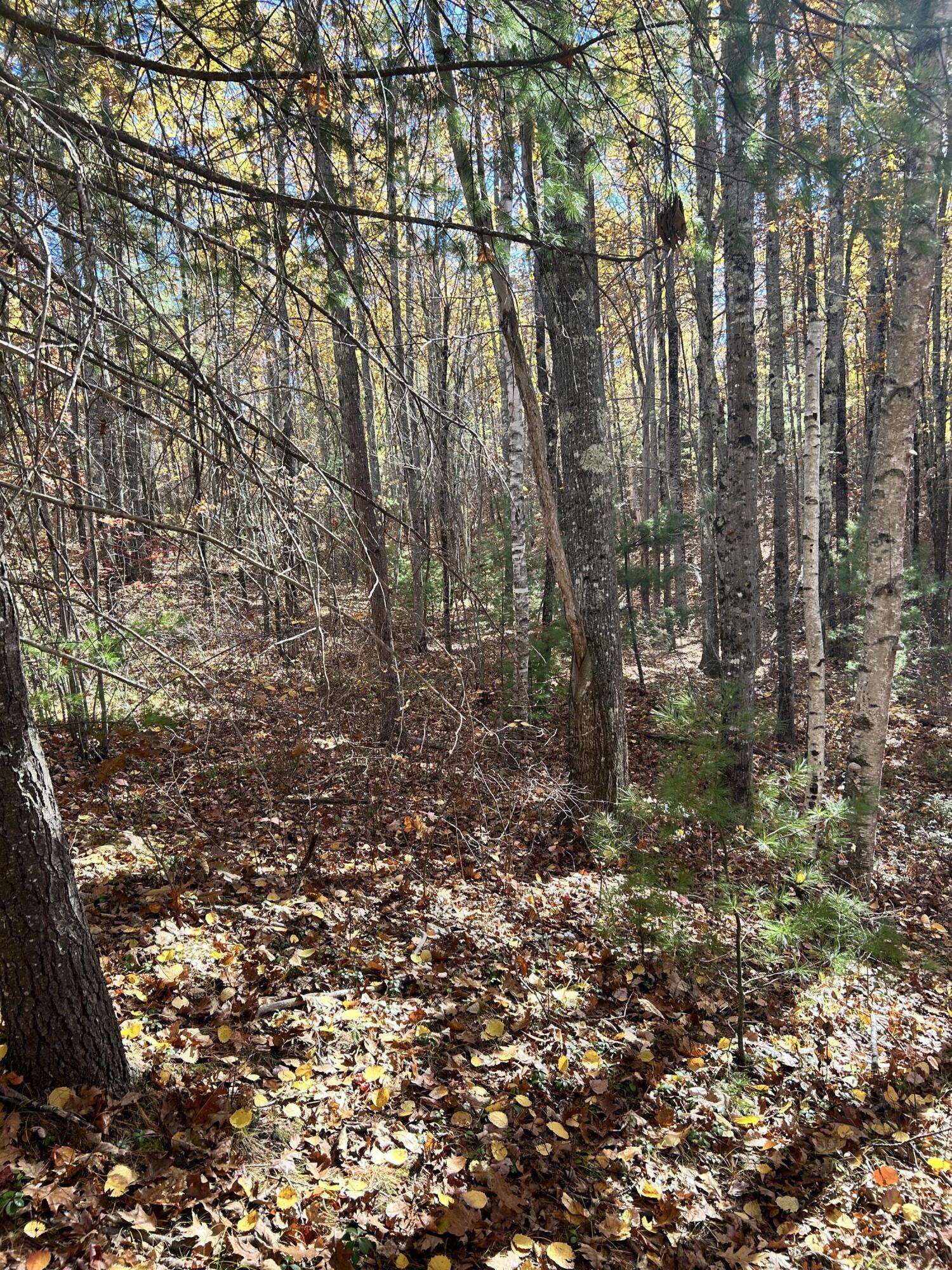 Land in Kennebunk 5
