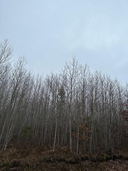 4069-7-ON Prairie Lake Rd, Tomahawk, WI, 59736 | Card Image