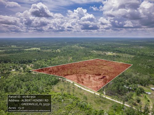 0000 Albert Henry Road, PERRY, FL, 32348 | Card Image