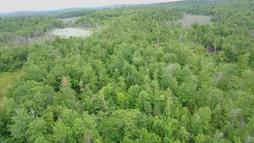 TBD Trafton Road, Parkman, ME, 04443 | Card Image