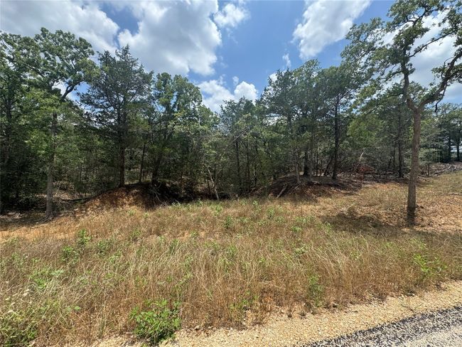 View of wooded area | Image 4