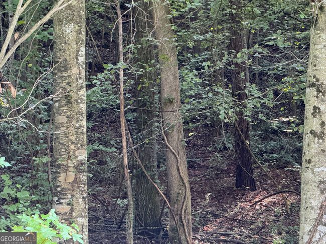 TRACT 2 Harbert Valley Rd, Home with 0 bedrooms, 0 bathrooms and null parking in Toccoa GA | Image 21