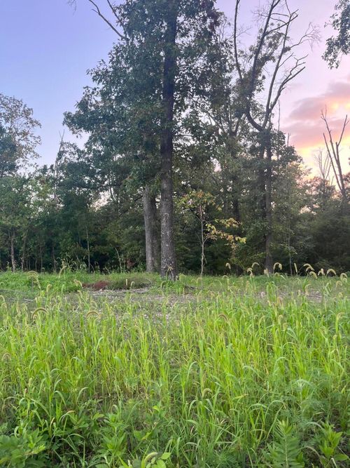 000 Coopers Rd, Pineville, MO, 64856 | Card Image
