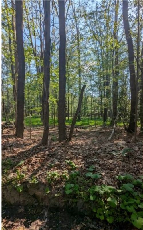 4 Horse Shoe Bend Rd, Acme, PA, 15610 | Card Image