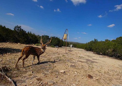 TBD Texas Pecos Trl, Rocksprings, TX, 78880 | Card Image