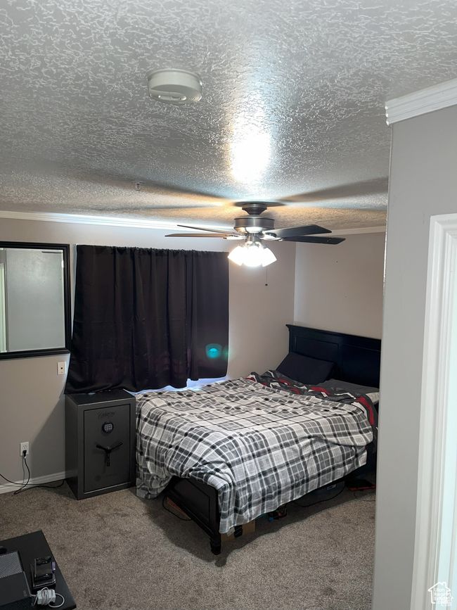 Carpeted bedroom featuring a textured ceiling | Image 5
