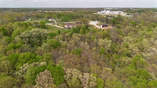 Aerial view featuring a forest view | Image 7