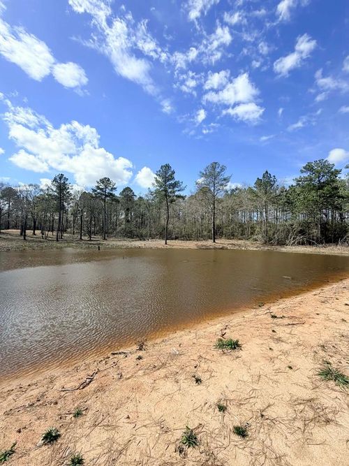 NHN Antler Ridge Lot B, Poplarville, MS, 39466 | Card Image