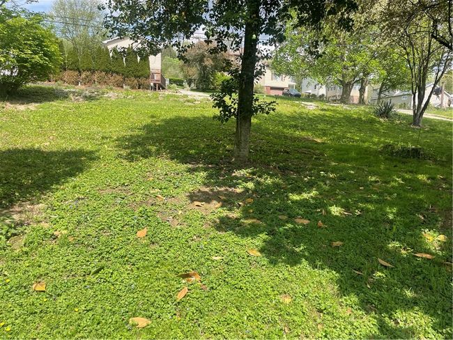 Front yard | Image 33