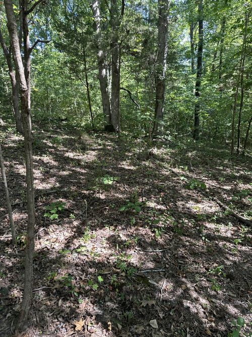 0 Lee Ln, Big Rock, TN, 37023 | Card Image