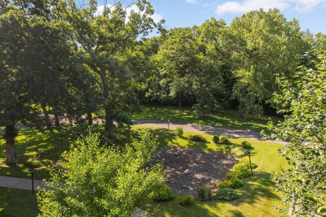 Tree-lined view from the balcony | Image 13