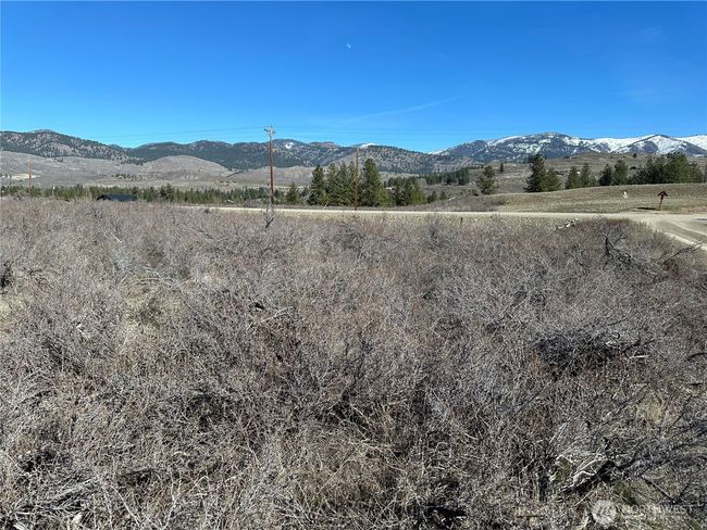 81 W Chewuch Rd, Home with 0 bedrooms, 0 bathrooms and null parking in Winthrop WA | Image 13