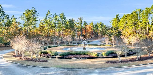 20 Serenity Park Ln, Home with 0 bedrooms, 0 bathrooms and null parking in Georgetown SC | Image 10