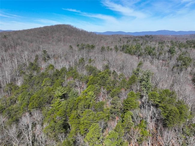 41.18 Acres (Off Of) Pole Bridge Rd, Home with 0 bedrooms, 0 bathrooms and null parking in Stuart VA | Image 35