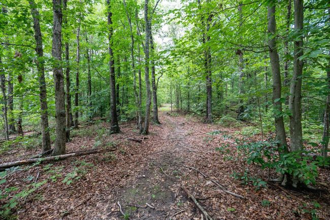 0 Allens Creek Rd, Home with 0 bedrooms, 0 bathrooms and null parking in GLADSTONE VA | Image 31