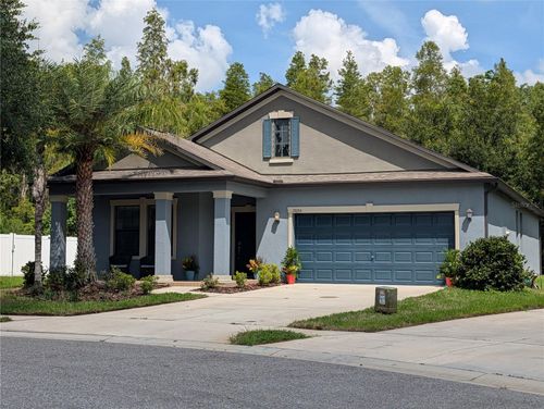 19255 Alexandrea Lee Ct, Land O Lakes, FL, 34638-7565 | Card Image