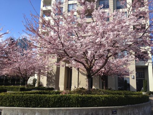 307-4333 Central Boulevard, Burnaby, BC, V5H4W8 | Card Image