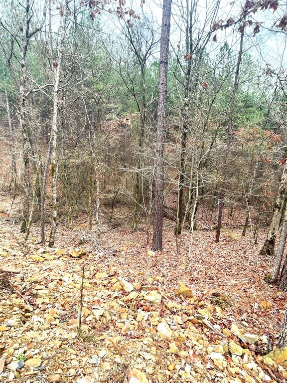 Land in Broken Bow 2