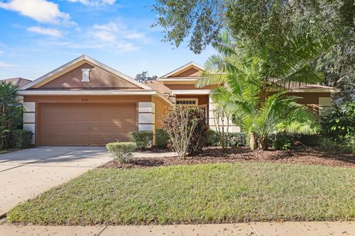 6130 Whimbrelwood Dr, LITHIA, FL, 33547-4100 | Card Image