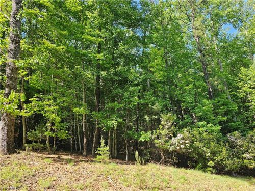 LOT 2 Baldwin Drive, Lowgap, NC, 27024 | Card Image