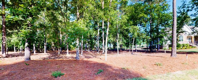 243 Walton Heath Way, House other with 4 bedrooms, 4 bathrooms and null parking in Aiken SC | Image 61