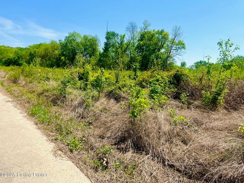0 Sandy Ct E, Falls Of Rough, KY, 40119 | Card Image