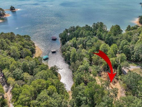 Lot 22 County Road 875, Crane Hill, AL, 35053 | Card Image