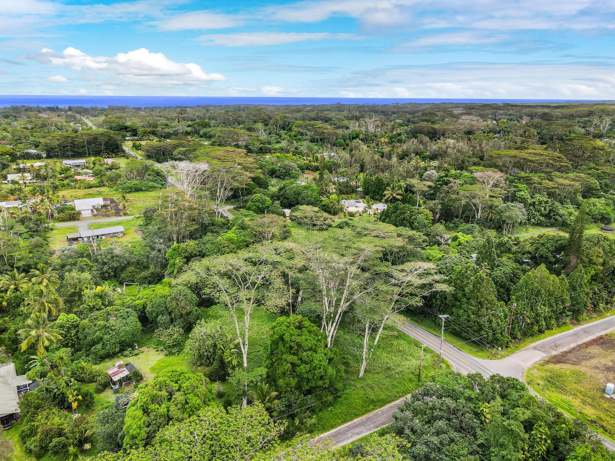 Land in Keaau 4