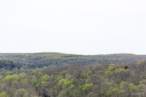 Lot 1A Short Rd, Blackwell, MO, 63626 | Card Image