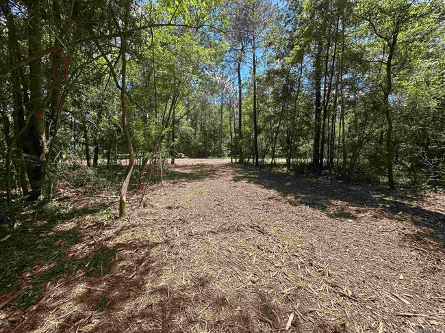 23547 Heritage Acres Ln, Home with 0 bedrooms, 0 bathrooms and null parking in Robert LA | Image 9