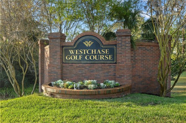 10751 Tavistock Dr, House other with 4 bedrooms, 4 bathrooms and null parking in Tampa FL | Image 70