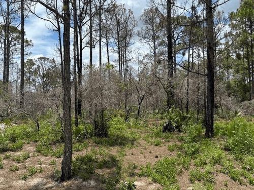 0 Claverton Dr, LAKE PLACID, FL, 33852 | Card Image