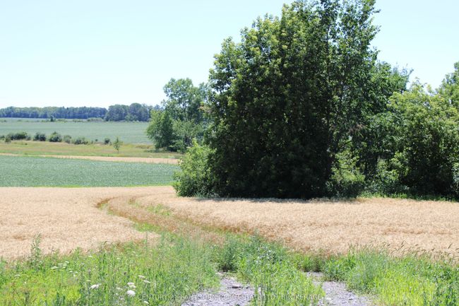 LT15-16 County 1 Road W, Home with 0 bedrooms, 0 bathrooms and null parking in Greater Napanee ON | Image 8