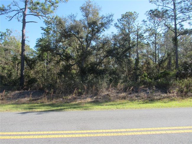 Beautiful 1.03 Acre New Build Site Available in Lovely Rainbow Lakes Estates Community, Conveniently Located Just Minutes From Historic Dunnellon"s Town Square Built Around The World Famous Rainbow and Withlacoochee Rivers!! | Image 1