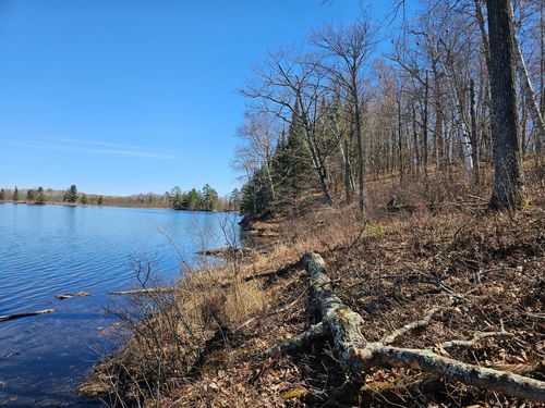 TBD Tract B Swanson Road, Deerwood, MN, 56444 | Card Image