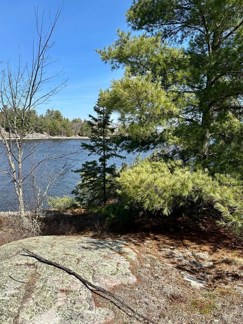 TBD Kabetogama Lake W, Kabetogama Twp, MN, 56669 | Card Image