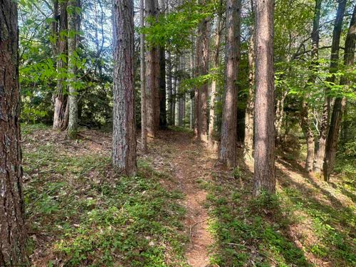 Lot 70 Monte Carlo Ct, Davis, WV, 26260 | Card Image