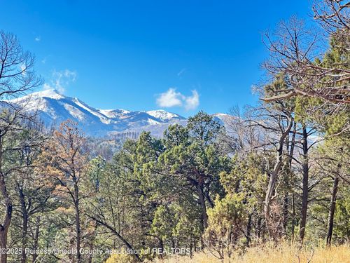 297 Lake Shore Dr, Alto, NM, 88312-8054 | Card Image