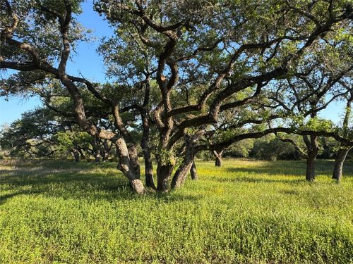 49 Shorebird Lane, Columbus, TX, 78934 | Card Image