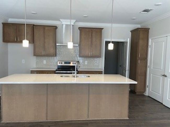 Gorgeous kitchen with 10' island. Cabinet pantry. | Image 9