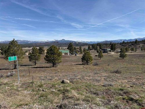 310 Echo Dr, Pagosa Springs, CO, 81147-9733 | Card Image