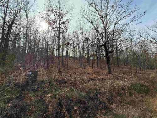 Tract 93 Vernon Court Road, Austin, AR, 72007-0000 | Card Image