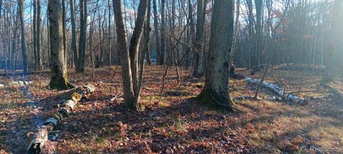 1782 Hemlock Ln, Farwell, MI, 48622-9615 | Card Image